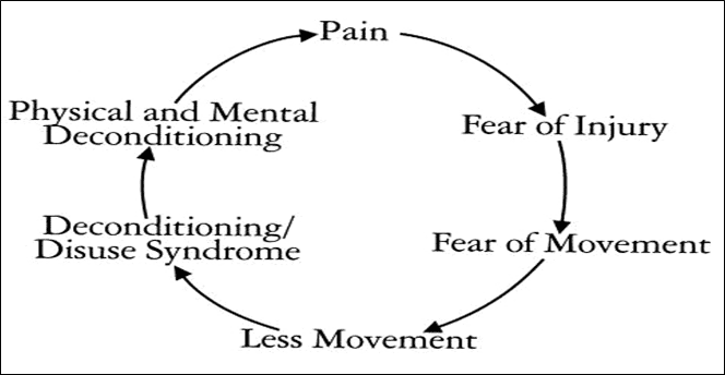 Pain Cycle